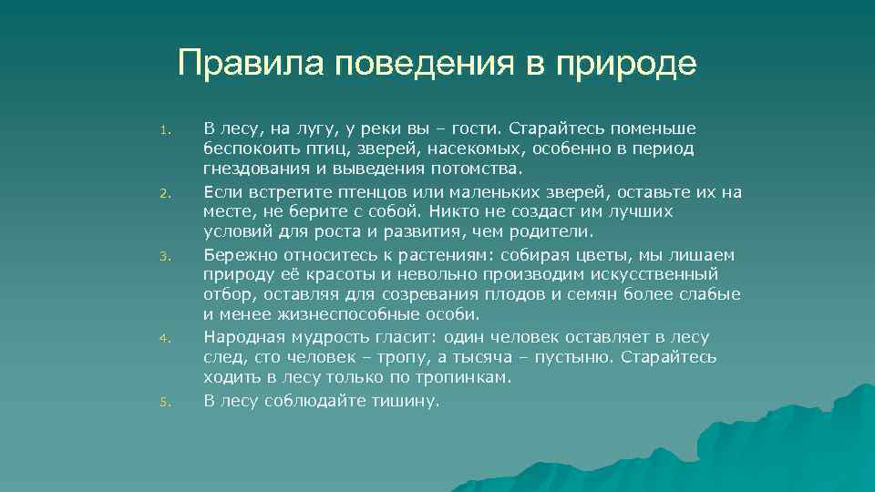 Правила поведения в природе 1. 2. 3. 4. 5. В лесу, на лугу, у