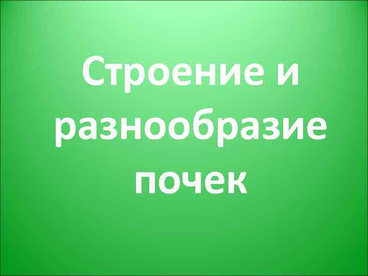 Строение и разнообразие почек 
