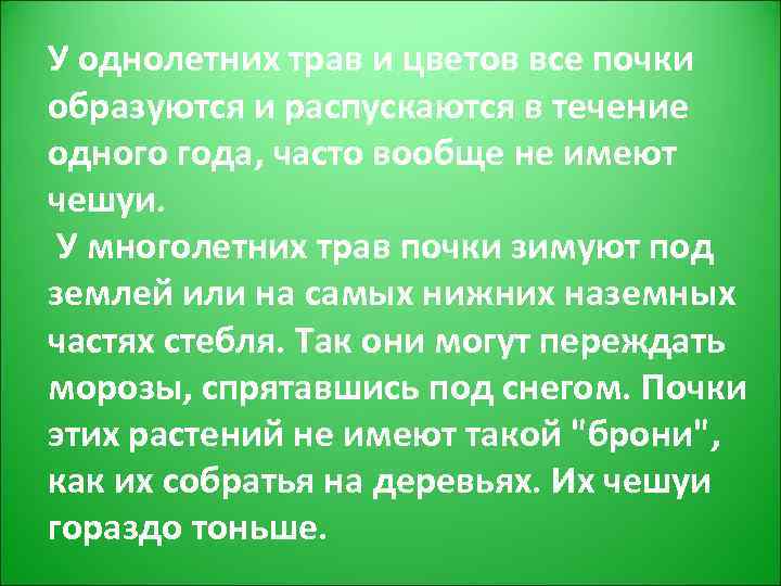 У однолетних трав и цветов все почки образуются и распускаются в течение одного года,