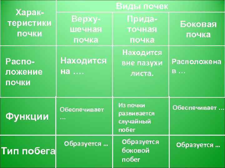 Биология 6 класс строение и функции. Почки растений таблица. Виды почек таблица. Виды почек растений таблица. Типы почек растений таблица.