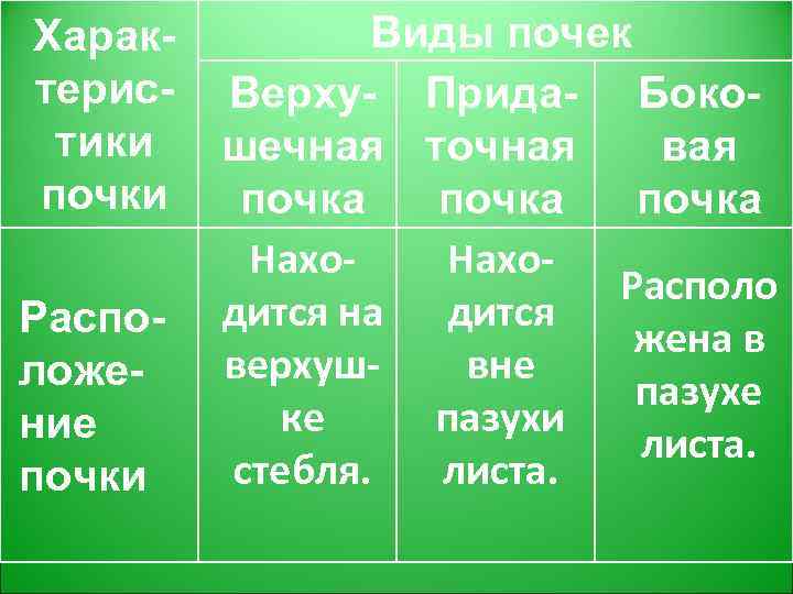 Характеристики почки Расположение почки Виды почек Верху- Прида- Бокошечная точная вая почка Нахо. Располо