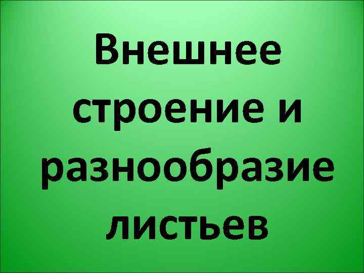 Внешнее строение и разнообразие листьев 