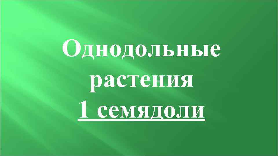 Однодольные растения 1 семядоли 