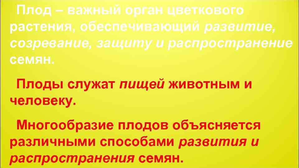 Плод – важный орган цветкового растения, обеспечивающий развитие, созревание, защиту и распространение семян. Плоды