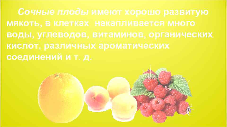 Сочные плоды имеют хорошо развитую мякоть, в клетках накапливается много воды, углеводов, витаминов, органических