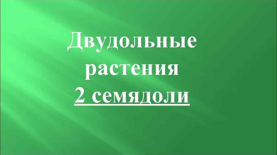 Двудольные растения 2 семядоли 