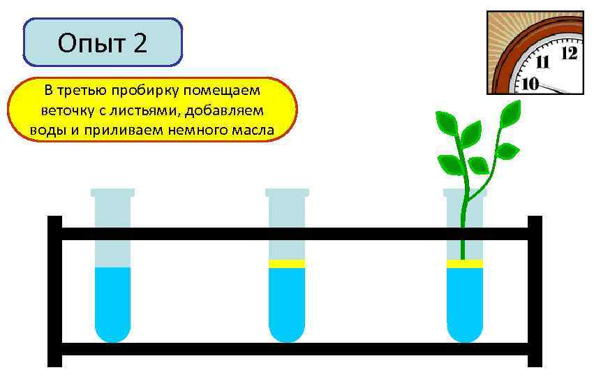 Опыт 2 Во В третью пробирку помещаем вторую пробирку добавим воды В первую пробирку