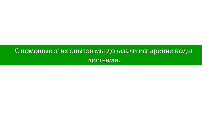 С помощью этих опытов мы доказали испарение воды листьями. 