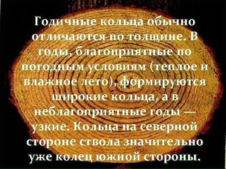 Годичные кольца обычно отличаются по толщине. В годы, благоприятные по погодным условиям (теплое и
