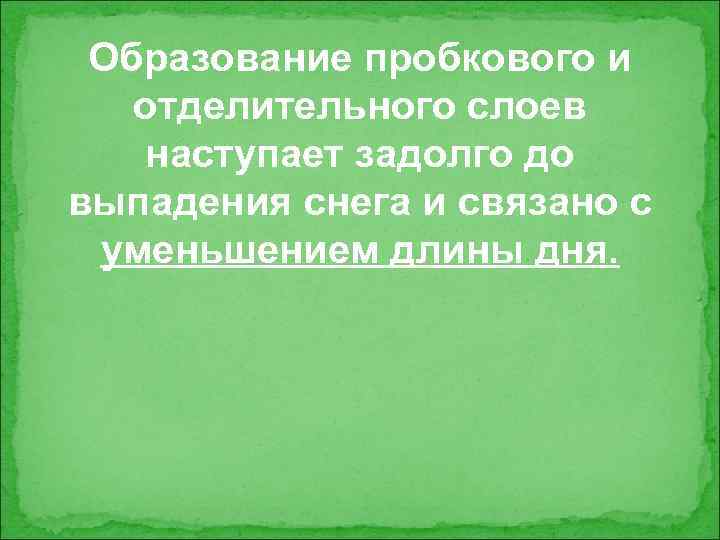 Образование пробкового и отделительного слоев наступает задолго до выпадения снега и связано с уменьшением