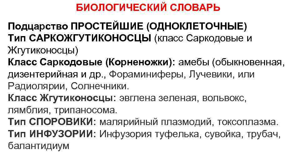 БИОЛОГИЧЕСКИЙ СЛОВАРЬ Подцарство ПРОСТЕЙШИЕ (ОДНОКЛЕТОЧНЫЕ) Тип САРКОЖГУТИКОНОСЦЫ (класс Саркодовые и Жгутиконосцы) Класс Саркодовые (Корненожки):