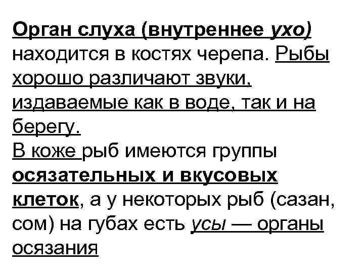 Орган слуха (внутреннее ухо) находится в костях черепа. Рыбы хорошо различают звуки, издаваемые как