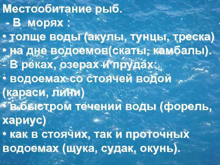 Местообитание рыб. В морях : • толще воды (акулы, тунцы, треска) • на дне