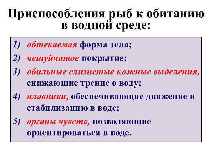 Как приспособлены рыбы к водной среде