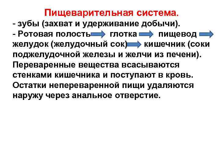 Пищеварительная система. - зубы (захват и удерживание добычи). - Ротовая полость глотка пищевод желудок