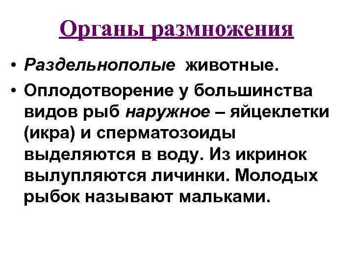 Органы размножения • Раздельнополые животные. • Оплодотворение у большинства видов рыб наружное – яйцеклетки