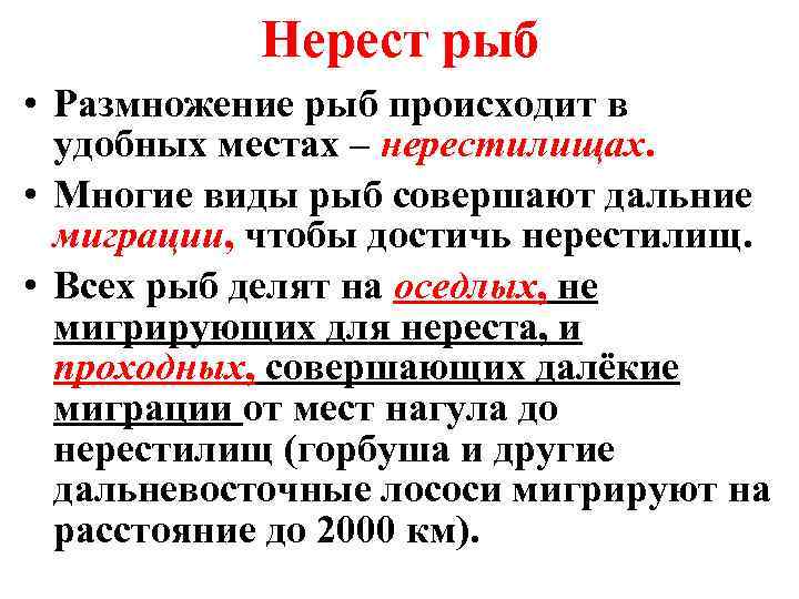 Нерест рыб • Размножение рыб происходит в удобных местах – нерестилищах. • Многие виды