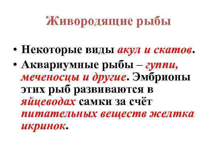 Живородящие рыбы • Некоторые виды акул и скатов • Аквариумные рыбы – гуппи, меченосцы