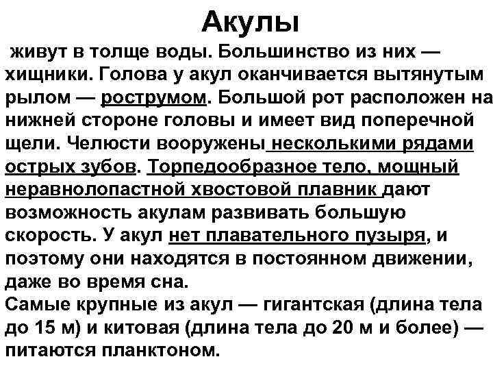 Акулы живут в толще воды. Большинство из них — хищники. Голова у акул оканчивается