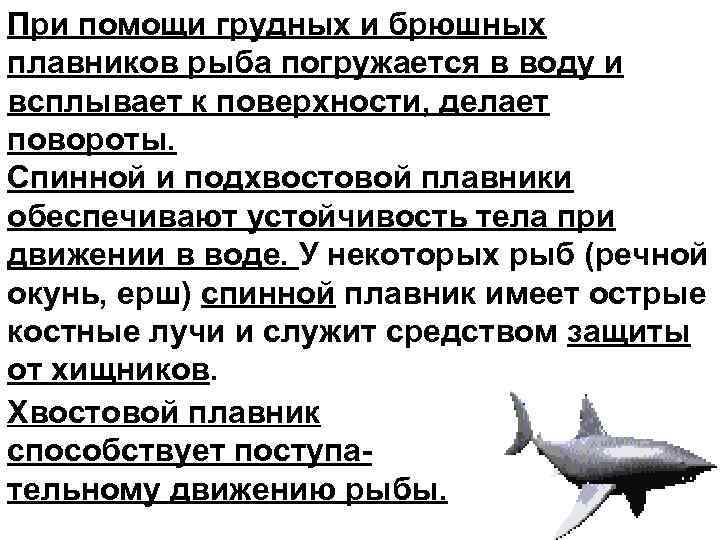 Работа плавников при движении рыбы в воде. Движение организмов рыб. Какие плавники участвуют в поворотах тела рыб в воде. Какие плавники у рыб участвуют в повороте. Поступательное движение рыбы.