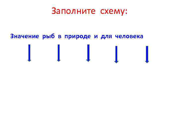 Заполните схему: Значение рыб в природе и для человека 