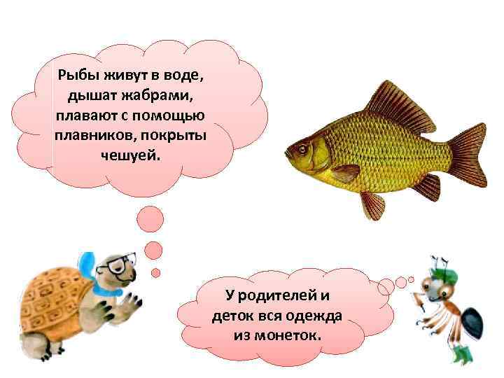 Рыбы живут в воде, дышат жабрами, плавают с помощью плавников, покрыты чешуей. У родителей