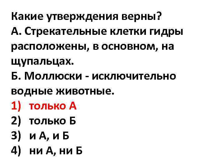 Какие утверждения верны? А. Стрекательные клетки гидры расположены, в основном, на щупальцах. Б. Моллюски