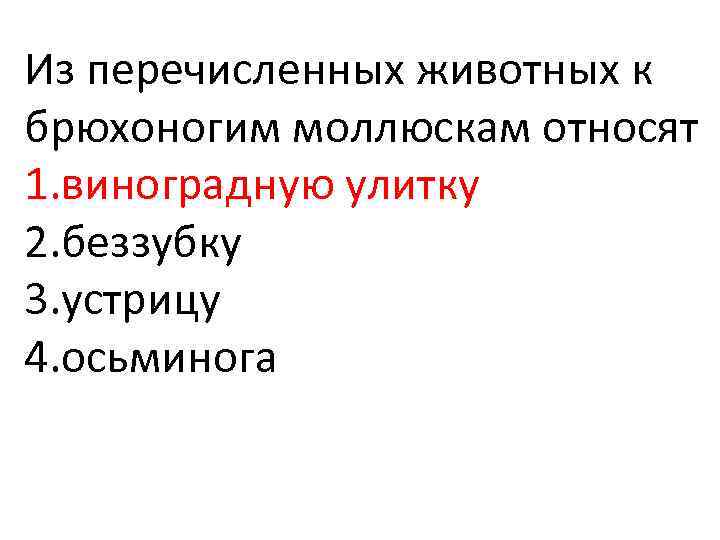 Из перечисленных животных к брюхоногим моллюскам относят 1. виноградную улитку 2. беззубку 3. устрицу