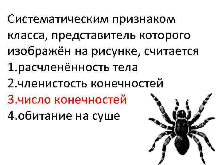 На рисунке изображен процесс иллюстрирующий присущее. Систематические признаки. Систематическим признаком класса представитель которого. Систематическим признаком паукообразных считается.