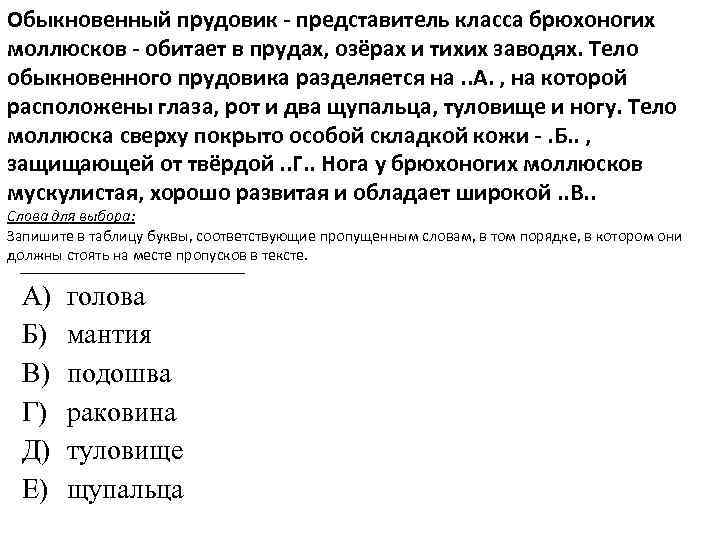 Обыкновенный прудовик представитель класса брюхоногих моллюсков обитает в прудах, озёрах и тихих заводях. Тело
