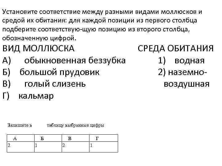 Установите соответствие между разными видами моллюсков и средой их обитания: для каждой позиции из