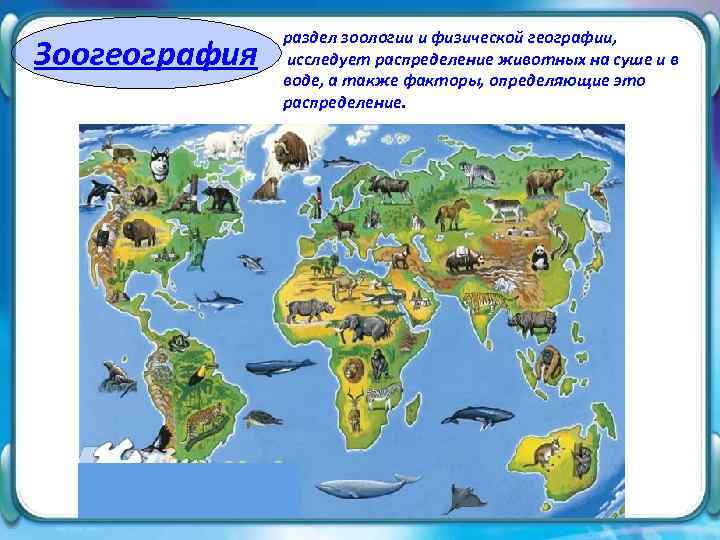 Зоогеография раздел зоологии и физической географии, исследует распределение животных на суше и в воде,