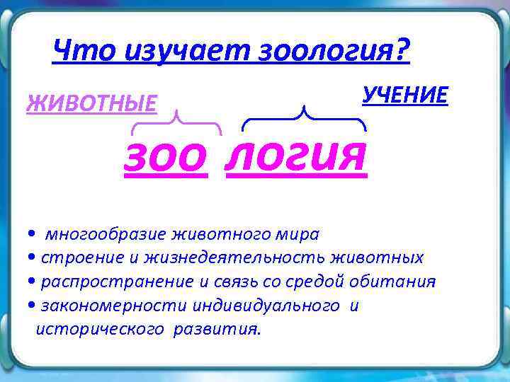 Что изучает зоология? ЖИВОТНЫЕ УЧЕНИЕ зоо логия • многообразие животного мира • строение и