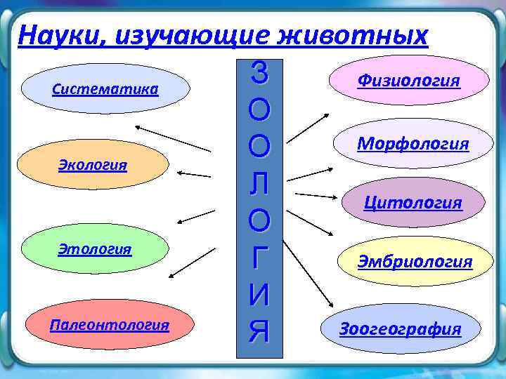 Науки, изучающие животных З Физиология Систематика О Морфология О Экология Л Цитология О Этология