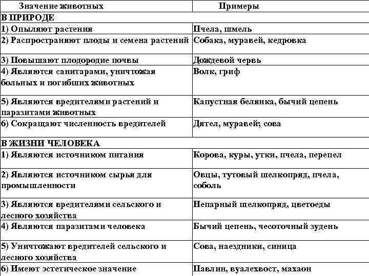 Значение животных Примеры В ПРИРОДЕ 1) Опыляют растения Пчела, шмель 2) Распространяют плоды и