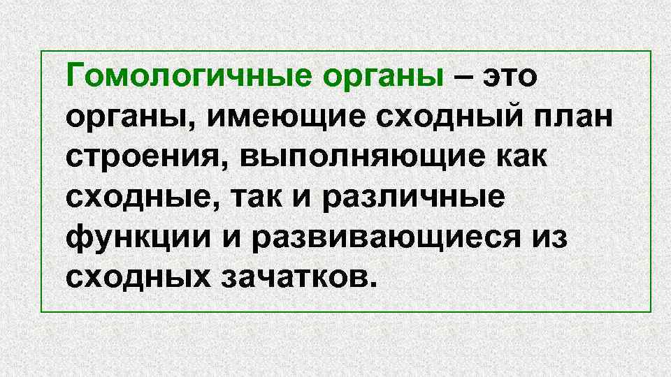 Органы имеющие сходное строение и происхождение