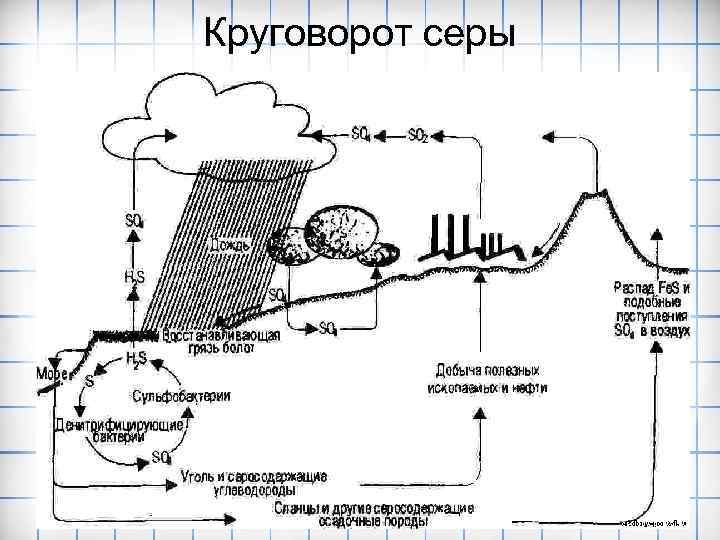 Круговорот серы 