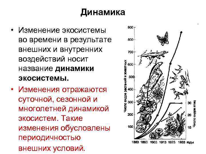 Динамика • Изменение экосистемы во времени в результате внешних и внутренних воздействий носит название