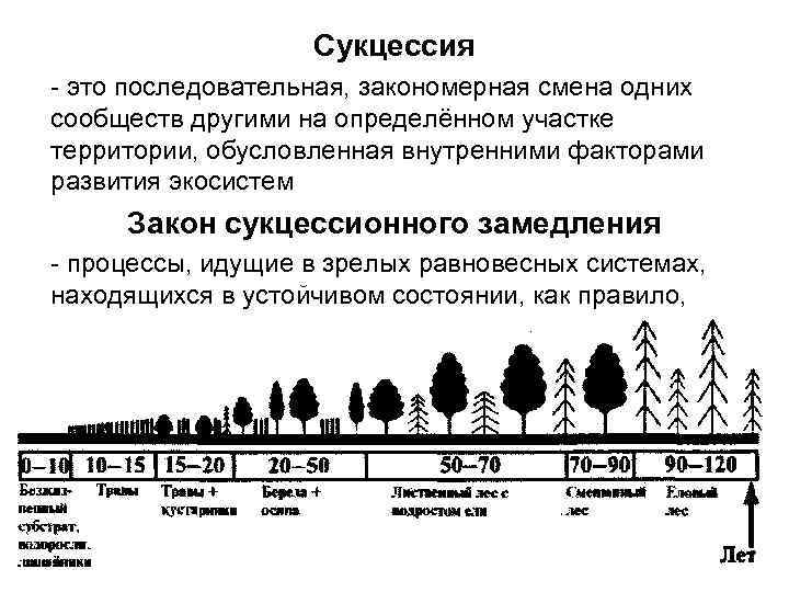 Сукцессия - это последовательная, закономерная смена одних сообществ другими на определённом участке территории, обусловленная