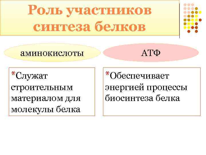 Роль участников синтеза белков аминокислоты АТФ *Служат *Обеспечивает строительным материалом для молекулы белка энергией