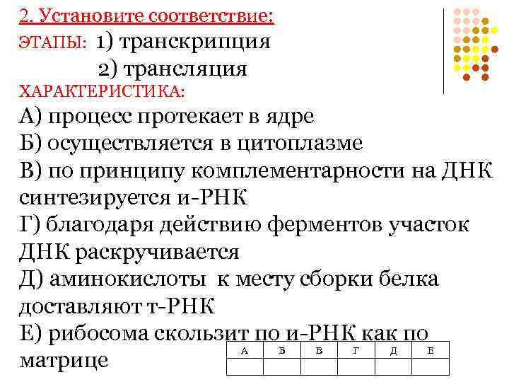 2. Установите соответствие: ЭТАПЫ: 1) транскрипция 2) трансляция ХАРАКТЕРИСТИКА: А) процесс протекает в ядре