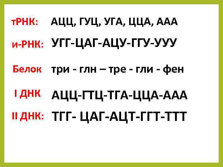 т. РНК: АЦЦ, ГУЦ, УГА, ЦЦА, ААА и-РНК: УГГ-ЦАГ-АЦУ-ГГУ-УУУ Белок три - глн –