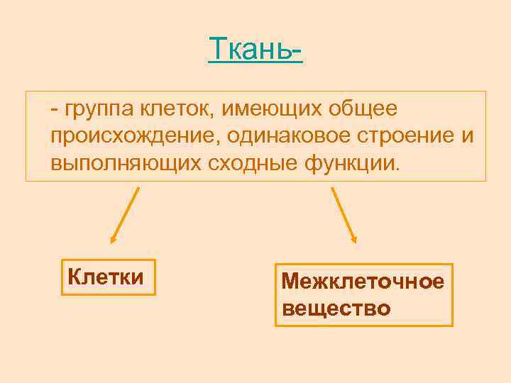 Ткань- группа клеток, имеющих общее происхождение, одинаковое строение и выполняющих сходные функции. Клетки Межклеточное