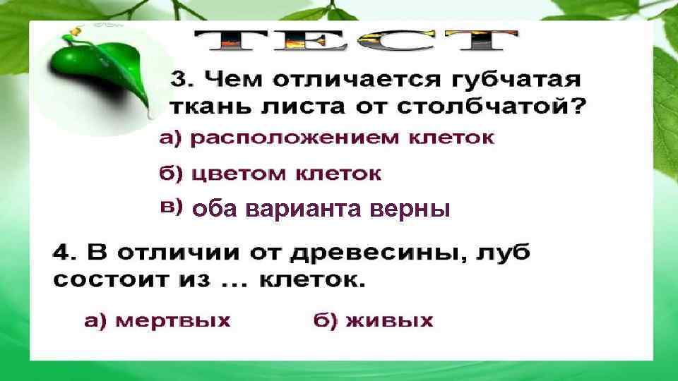 оба варианта верны 