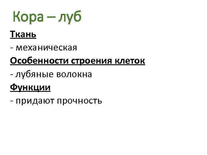 Кора – луб Ткань - механическая Особенности строения клеток - лубяные волокна Функции -