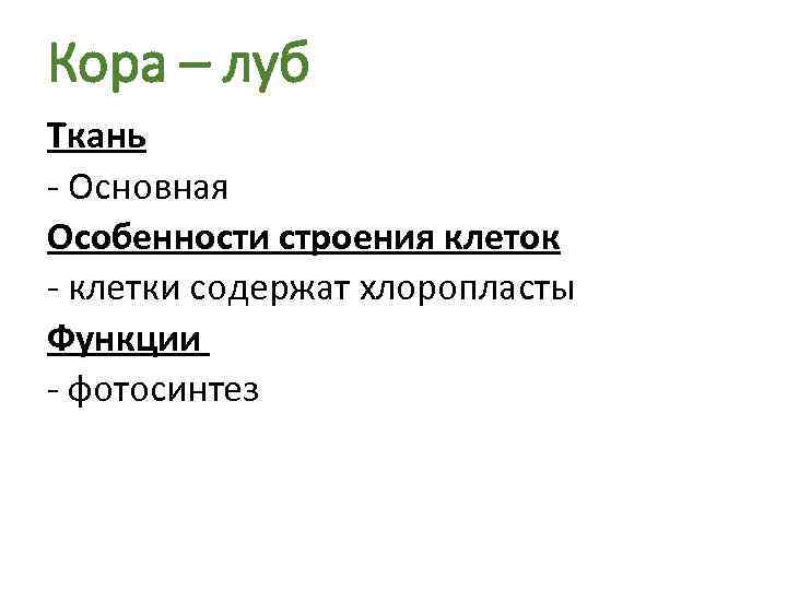 Кора – луб Ткань - Основная Особенности строения клеток - клетки содержат хлоропласты Функции