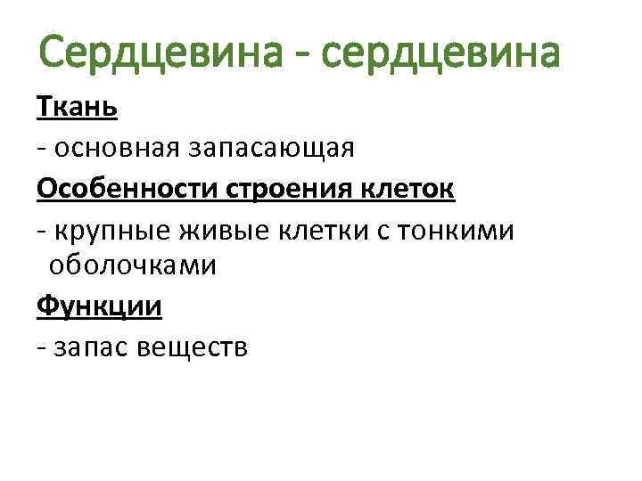 Сердцевина - сердцевина Ткань - основная запасающая Особенности строения клеток - крупные живые клетки