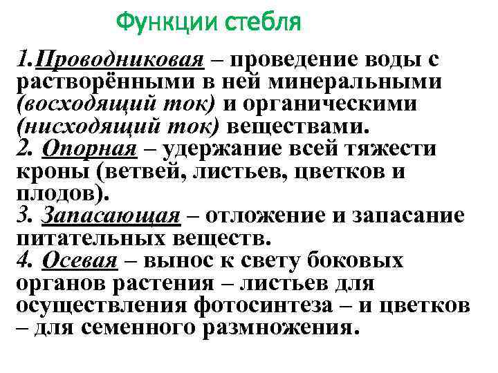 Функции стебля 1. Проводниковая – проведение воды с растворёнными в ней минеральными (восходящий ток)