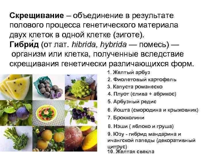 Скрещивание – объединение в результате полового процесса генетического материала двух клеток в одной клетке