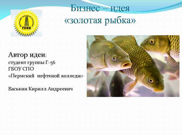 Бизнес – идея «золотая рыбка» Автор идеи: студент группы Г-56 ГБОУ СПО «Пермский нефтяной